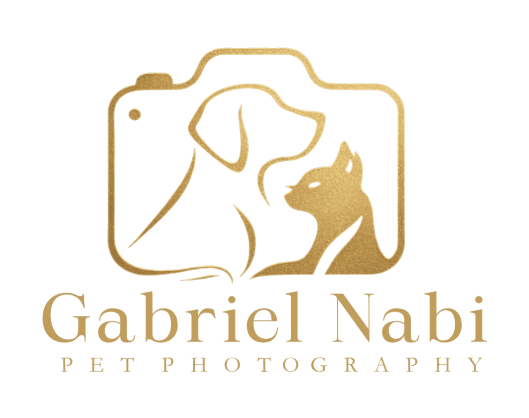 Gabriel Nabi